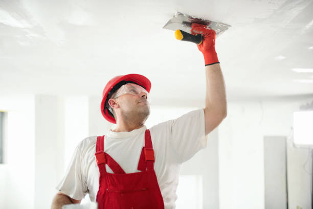 Best Eco-Friendly and Low-VOC Painting  in Lakeview, MI