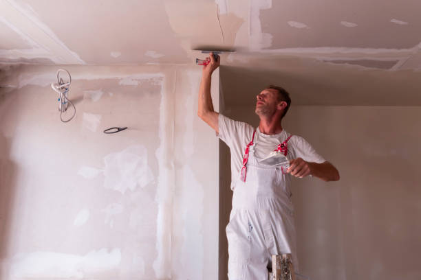 Best Ceiling Drywall Installation  in Lakeview, MI